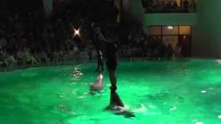 Lithuanian Dolphinarium best moments of the show [upl. by Dino21]