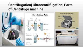 Centrifugation Ultracentrifugation Cell Fractionation [upl. by Rabaj]