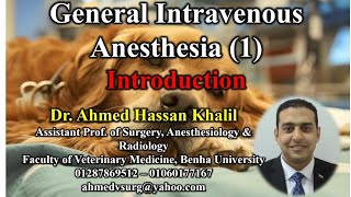 Introduction to general anaesthesia in veterinary field مقدمة عن التخدير العام في الحقل البيطري [upl. by Veriee485]