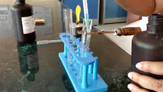 Fehlings test for carbohydrates [upl. by Annabella]