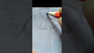 Tal Gas drawning  Palm tree drawing  drawing plamtree talgac [upl. by Anavoj]