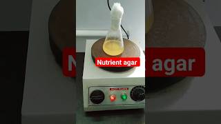 Nutrient agar culture media microbiology [upl. by Nellac]