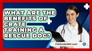 What Are the Benefits of Crate Training a Rescue Dog  PetGuide360com [upl. by Atnim418]