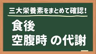 食後・空腹時の代謝をマスターしよう！【基礎栄養学】 [upl. by Kraska]