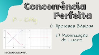 CONCORRÊNCIA MONOPOLISTA  Entenda os termos econômicos [upl. by Nanete]