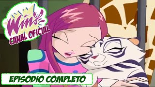 Winx Club 4x14 Temporada 4 Episodio 14 quot7 El numero Perfectoquot Español Latino [upl. by Drogin]