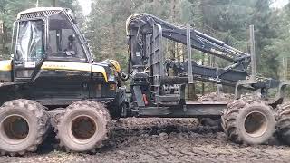 Zwischen Blankenheim und Gerolstein  Vulkaneifel Herbst 2024  Holzvollernter  Baumfällmaschine [upl. by Avi]