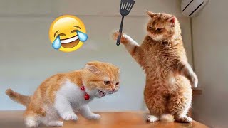 Try Not To Laugh 😅 Funniest Cats and Dogs 2023 😹🐶 Part 9 [upl. by Nutsud]