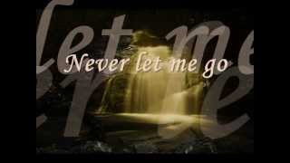 Never let me go  Florence and the machine Lyrics Vampire Diaries Soundtrack [upl. by Stannwood]