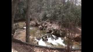 Amazing Creek Front Home in Franklin NC [upl. by Prudence703]