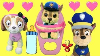 Capitulo especial Paw patrol en español Chase y Skye de patrulla canina San Valentin 2019  1 hora [upl. by Caesaria]