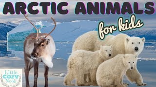 Arctic Animals For Kids Educational READ ALOUD for Children [upl. by Juliane]