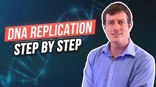 6 Steps of DNA Replication [upl. by Arekahs947]