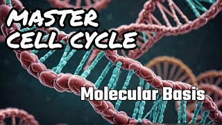 Molecular Basis of Cell Cycle  Cell Division  TGTPGT Biology tgtbiology pgtbiology [upl. by Darees]