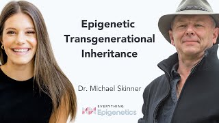 Epigenetic Transgenerational Inheritance with Dr Michael Skinner [upl. by Winona]