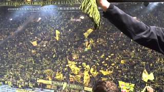 The Yellow Wall Dortmund [upl. by Kaasi]