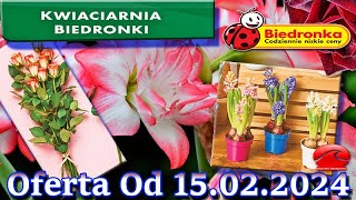 𝐁𝐈𝐄𝐃𝐑𝐎𝐍𝐊𝐀 🐞 Kwiaciarnia Biedronki Nowa Oferta Od 15022024  Kwiatowe Inspiracje Biedronki [upl. by Dnarb999]