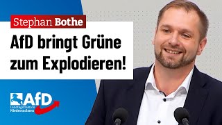 AfD bringt Grüne zum Explodieren – Stephan Bothe AfD [upl. by Bartholemy]