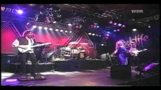 Melissa Etheridge  No Souvenirs 1993 Köln Germany [upl. by Fraase]