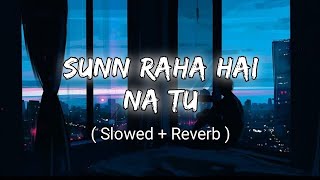 Sunn Raha Hai Na Tu Male Version  Aashiqui 2  Slowedreverb  Lofi Song  Aditya R KShraddha K [upl. by Inaliel]