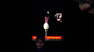 Gajab ke 3 Experiment scienceexperiment amazingfacts greensreen viralvideo shorts [upl. by Blunk]