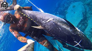 PESCASUB TONNO Gigante Pesca al Dentice Giant BLUEFIN TUNA SPEARFISHING 2024 [upl. by Mathias478]