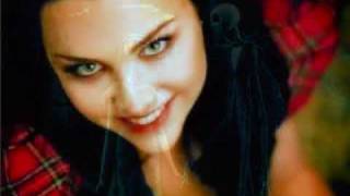 Sallys Song  Amy Lee lyrics [upl. by Ressay150]