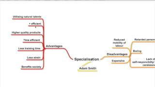 Specialisation and the division of labour  advantagesdisadvantages [upl. by Babette]