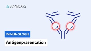 Antigenpräsentation  Biochemie  AMBOSS Video [upl. by Irme89]