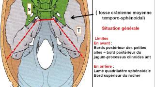 ANATOMIE MS Schémas de la base du crâne [upl. by Ventura]