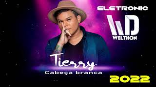 Tierry ft Welthon Dj  Cabeca branca  Eletronic Remix 2022 [upl. by Bartlett]