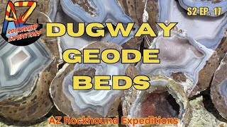 Rockhounding Utah Dugway Geode Beds [upl. by Anyak]