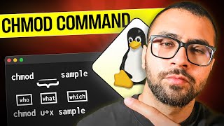 Mastering chmod Command in Linux A Beginners Guide [upl. by Teyugn188]