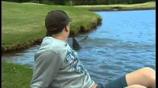 Killer Sharks Invade Golf Course In Oz [upl. by Atiuqnahs]