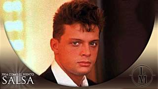 Fria Como El Viento Salsa  Luis Miguel [upl. by Asenev]