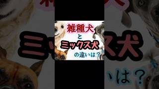 雑種犬とミックス犬の違いとは？ [upl. by Neumann]