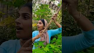 അയ്യോ കഷ്ട്ടായി പോയി youtubeshorts shorts comedy funny love [upl. by Narrad]