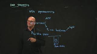 454 pyrosequencing [upl. by Alexio]