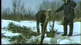 Bob Bearman runs his trap line  Nipigon River Hunts [upl. by Egerton]