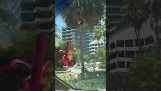 Grove at Grand Bay Condominium Coconut Grove MIAMI FLORIDA USA [upl. by Amaryl]