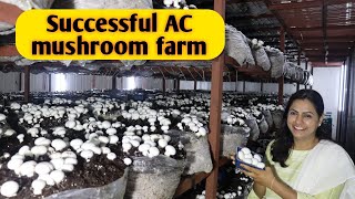 Hi tech ac mushroom farm marketing  compost  Profit and loss । India farming management [upl. by Savior]