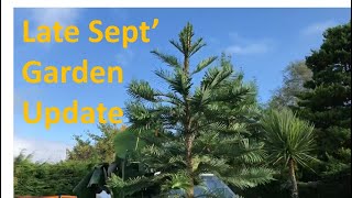 Late September Exotic Garden Update [upl. by Nonnag]