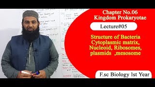 Biology Ch06Lecture05 Cytoplasmic matrixNucleoidRibosomesplasmids FSc 1st Year [upl. by Jethro285]