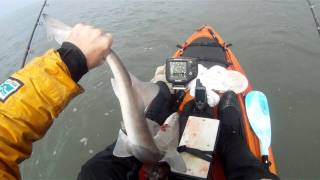 Kayak Fishing Porlock Bay [upl. by Tallu636]