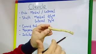 CLAVICLE GENERAL FEATURES AND ATTACHMENTS BY DR MITESH DAVE [upl. by Susannah701]