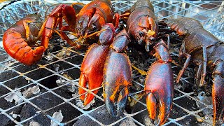 Yabby Catch And Cook Cooking Yabbies On A Disposable BBQ [upl. by Jennica360]