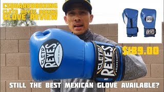 Cleto Reyes Velcro Training Gloves REVIEW STILL THE KING OF MEXICAN BOXING GLOVES [upl. by Arimihc]