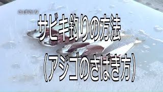 サビキ釣りの方法（アジゴのさばき方）福岡市海づり公園 [upl. by Etteiluj658]