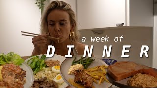 a week of high protein dinners  easy week day recipes yummy  delicious [upl. by Yelhak]