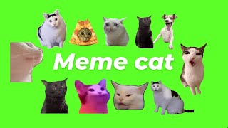 Animated Meme Cat GIF Green Screen Pack Free Download [upl. by Nemrac]